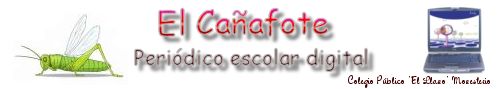 Logo de El Ca&ntilde;afote