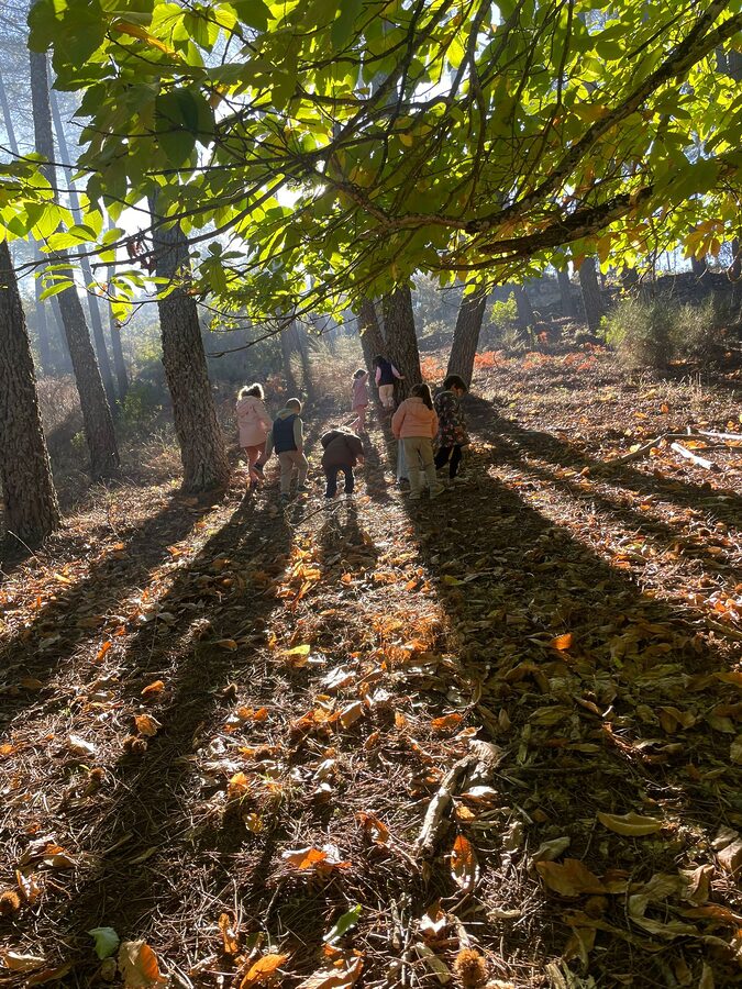 AGUAFRÍA INFANTIL 2025